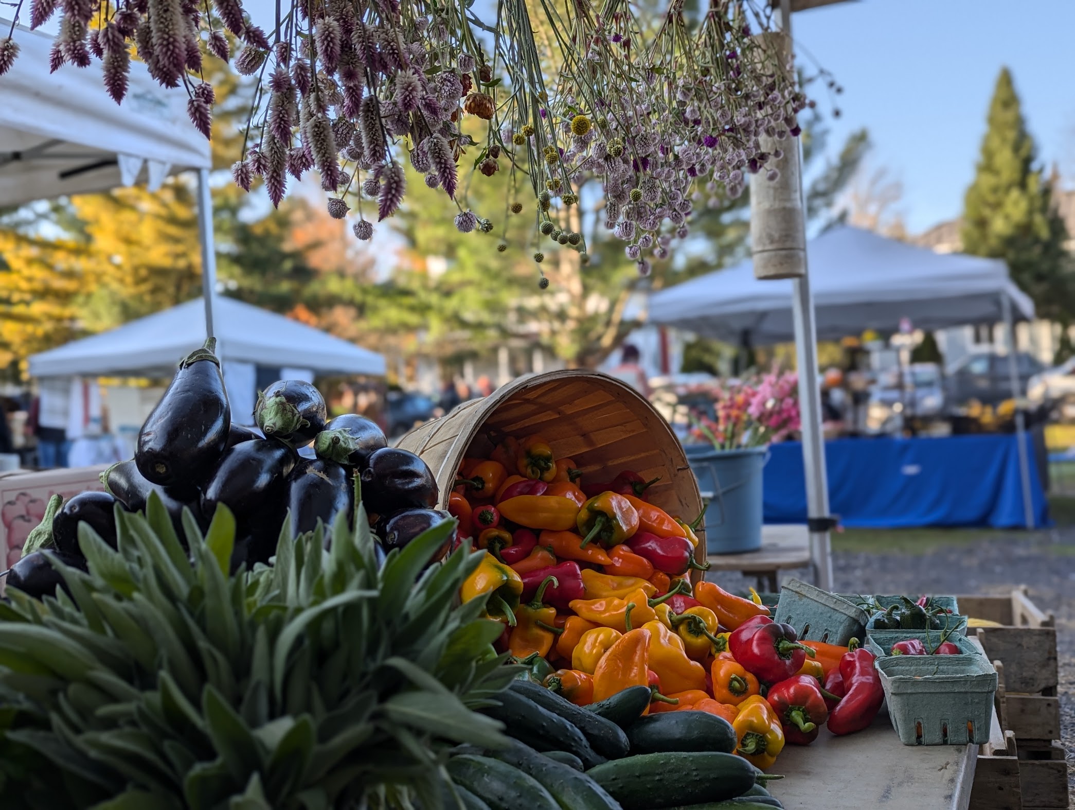 Étal au Marché de Sutton